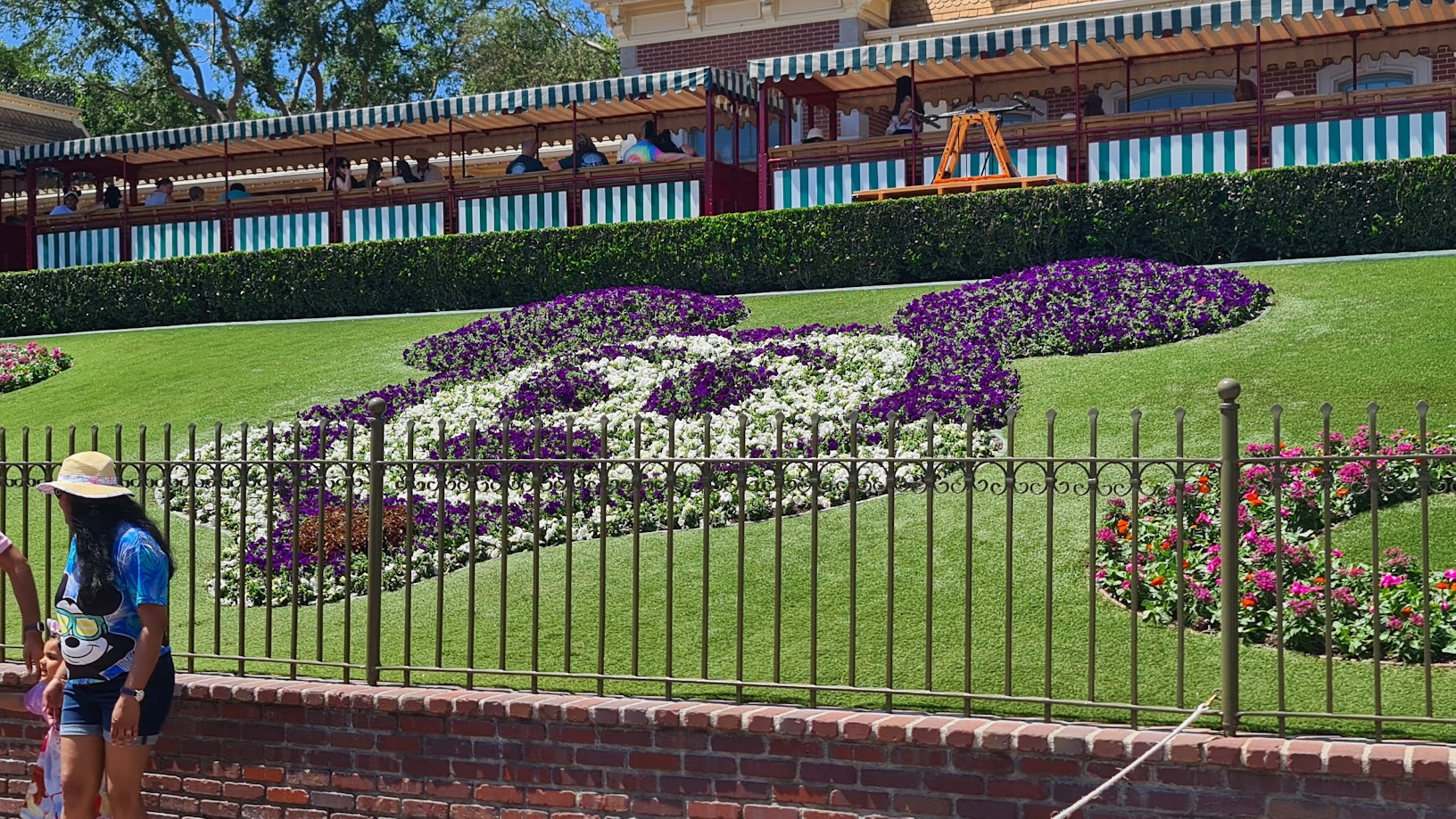 Lawn design of Mickey Mouse at Disneyland.